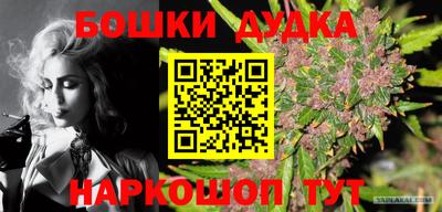 a pvp Будённовск