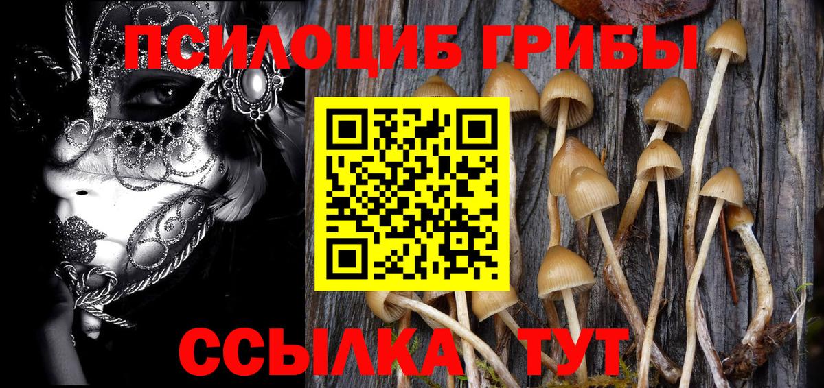 Галлюциногенные грибы мицелий  Вход с VPN  Пугачёв 