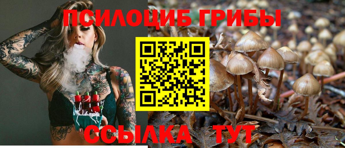 Псилоцибиновые грибы MAGIC MUSHROOMS Пугачёв